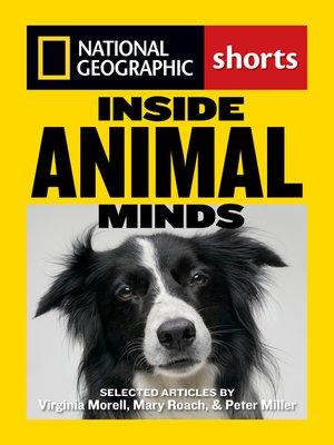 cover image of Inside Animal Minds